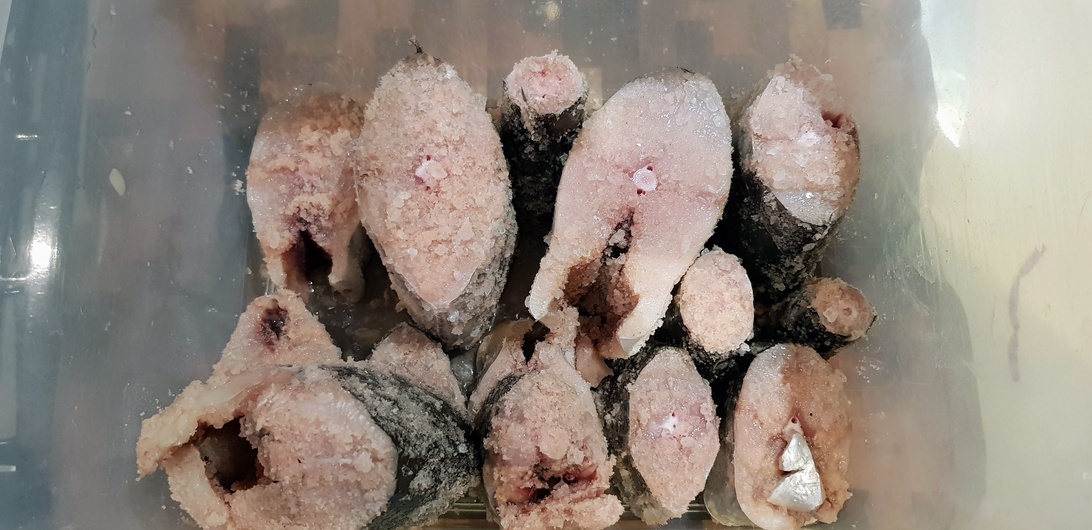 En beholder med frossen fisk, som representerer den endelige belønningen etter en vellykket fisketur, muliggjort av godt organisert utstyr.