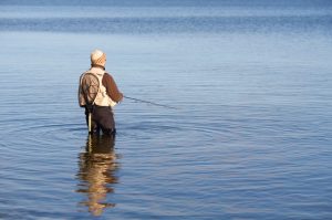 iStock_000001393563_Small